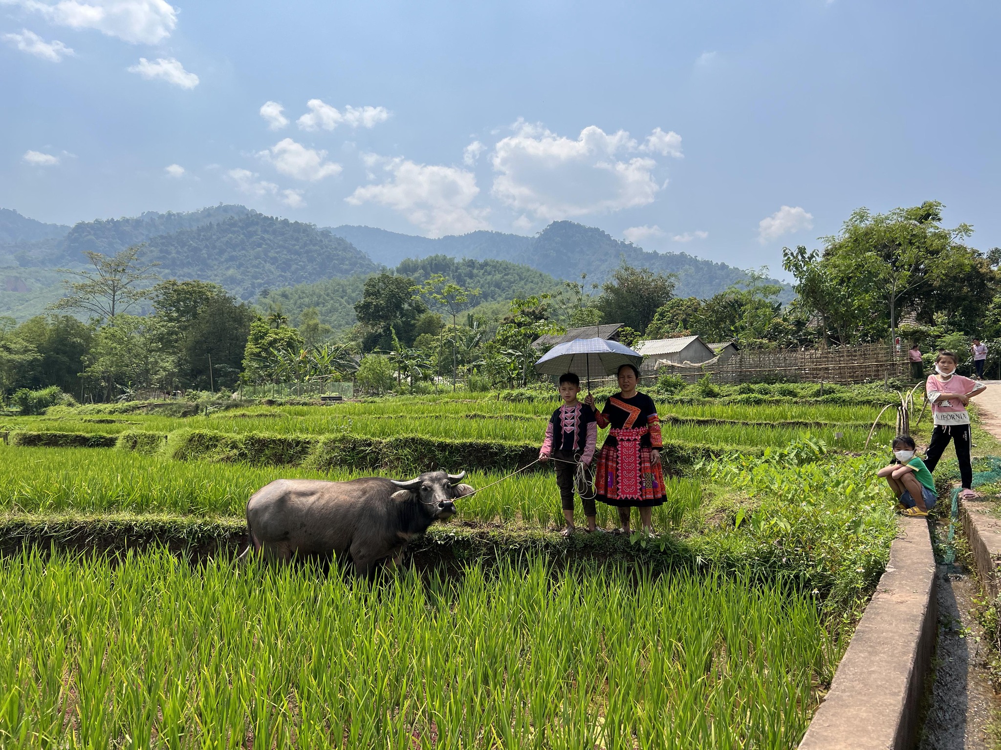 greenway-su-phuc-hung-cua-phim-tai-lieu-vi-sao-nhung-cau-chuyen-that-ngay-cang-co-gia-tri-trong-truyen-thong-hien-dai