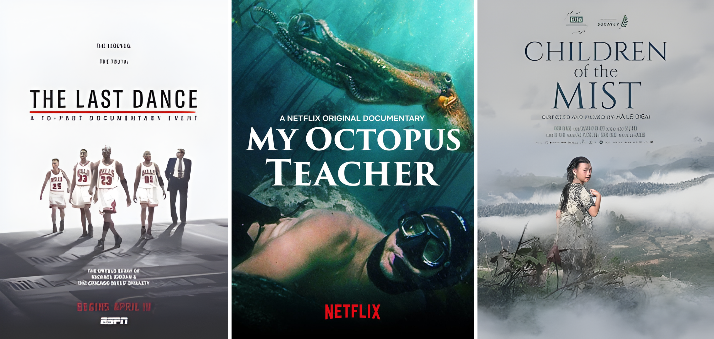 greenway-su-phuc-hung-cua-phim-tai-lieu-vi-sao-nhung-cau-chuyen-that-ngay-cang-co-gia-tri-trong-truyen-thong-hien-dai